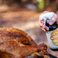 Meat Sweats Bird Bath BBQ spritz bottle beside a smoked turkey